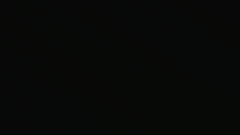 pestexx online show from 01/20/25, 04:55