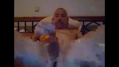 pet09 online show from 01/06/25, 10:37