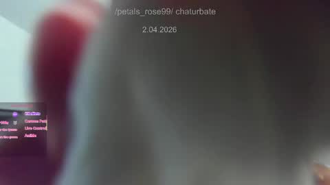 Snapshot of petals_rose99 chatting on 04/01/26, 09:56 Rose online show from 04/01/26, 09:56