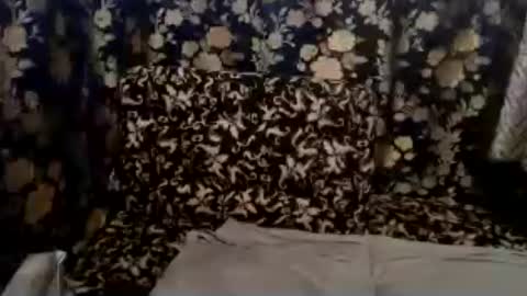 cute vir online show from 07/13/26, 07:22