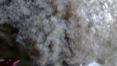 Snapshot of petitecaramell chatting on 11/05/25, 11:05 Caramel online show from 11/05/25, 11:05