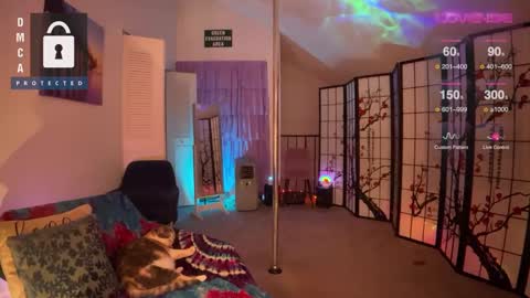 Jules online show from 12/27/24, 09:17