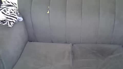 Snapshot of petitekittyy chatting on 06/11/26, 01:49 Kitty online show from 06/11/26, 01:49