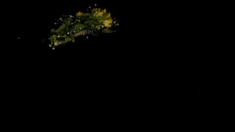  J A S S  online show from 01/01/25, 04:18