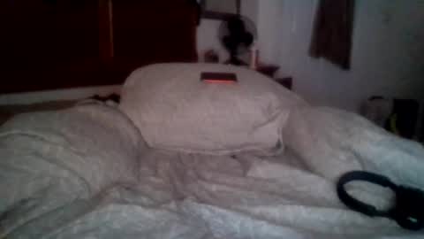 Snapshot of petrparkr2888 chatting on 07/03/26, 05:25 petrparkr2888 online show from 07/03/26, 05:25