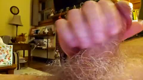 Phil online show from 12/17/24, 04:34