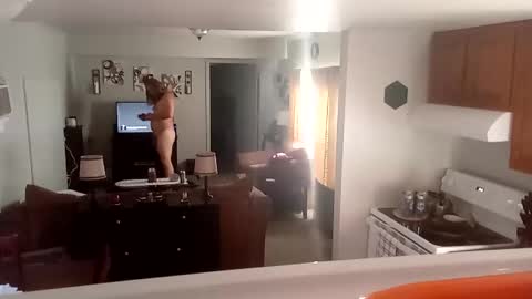 Phinfan online show from 02/23/25, 08:44