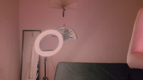 phoenixx_x online show from 07/26/26, 08:27