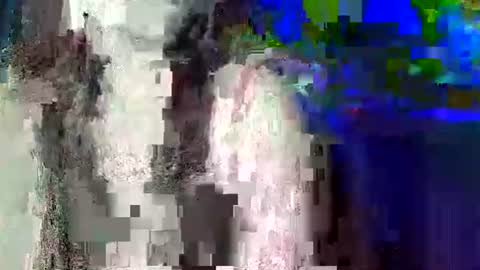 Carol online show from 06/09/26, 03:01