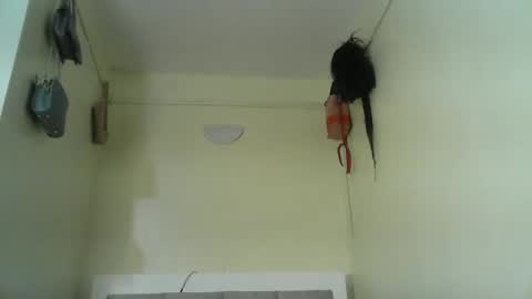 Pinkie online show from 11/20/25, 01:11