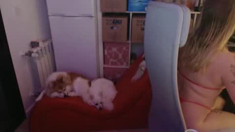 Snapshot of pinkladyx2 chatting on 02/21/25, 06:48 pinkladyx2 online show from 02/21/25, 06:48