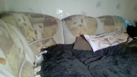 Snapshot of pinochetti chatting on 01/03/25, 12:43 Incubus online show from 01/03/25, 12:43