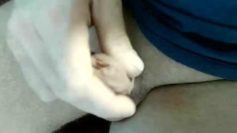 pippo online show from 05/31/26, 09:16
