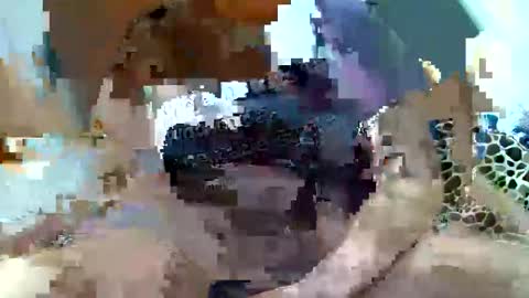 Snapshot of pislezg1 chatting on 02/07/25, 11:45 pislezg1 online show from 02/07/25, 11:45