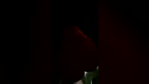 pistachio1191 online show from 07/05/26, 04:19