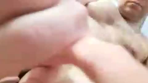 Gkay53 online show from 06/15/26, 03:14