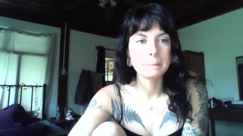 pixiecatfairy online show from 11/19/25, 03:17