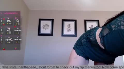 Plantbabeee online show from 12/02/24, 07:16