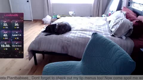 Plantbabeee online show from 02/26/25, 06:00