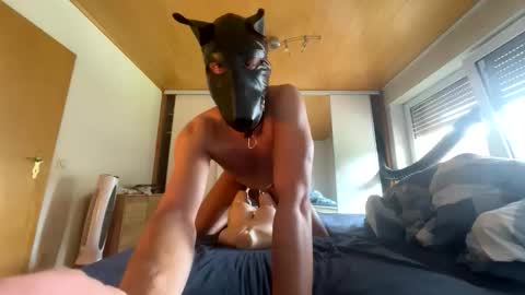 Snapshot of playdog123 chatting on 09/21/25, 11:56 playdog123 online show from 09/21/25, 11:56