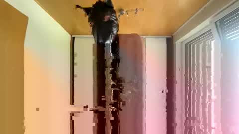 Snapshot of playdog123 chatting on 10/12/25, 01:21 playdog123 online show from 10/12/25, 01:21