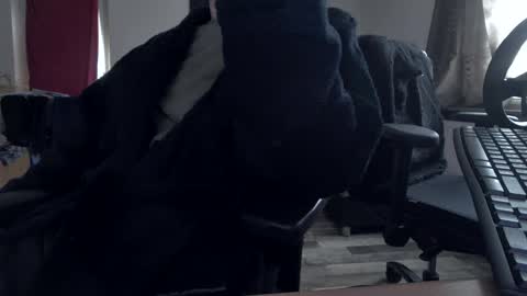 Hello ask me  . Im glad  to see you here in my room. Welcome PVT is open online show from 11/30/25, 09:35