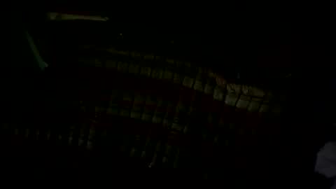 pleaseownme2 online show from 09/13/25, 01:11
