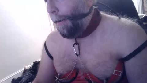 pleasurepuppt online show from 01/22/25, 02:48