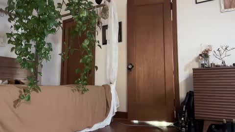 pnkgf online show from 02/19/25, 12:46