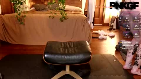 pnkgf online show from 02/23/25, 03:35