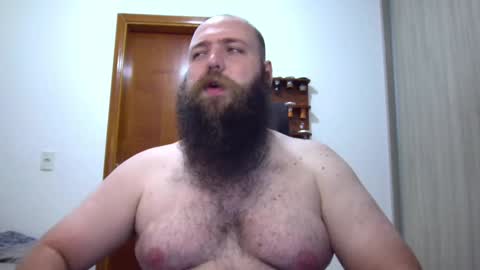 Bear online show from 02/04/25, 02:17
