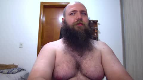 Bear online show from 02/07/25, 06:24