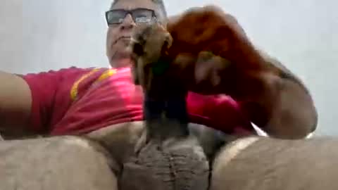 Snapshot of poli475 chatting on 02/15/25, 11:03 poli online show from 02/15/25, 11:03