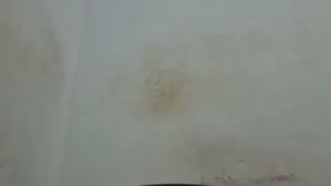 Snapshot of poli475 chatting on 04/04/26, 01:59 poli online show from 04/04/26, 01:59