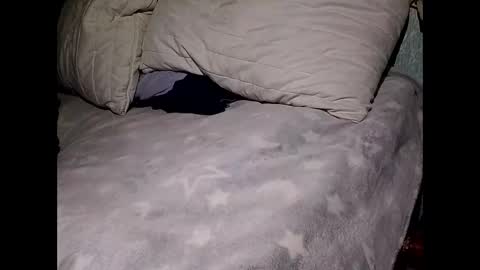 Snapshot of pollachico chatting on 11/28/25, 08:06 pollachico online show from 11/28/25, 08:06