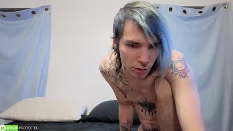 Cheshire  Bee online show from 11/18/25, 08:08