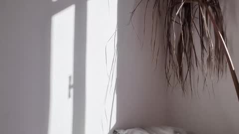 Snapshot of polynessia chatting on 10/17/25, 06:27 Polina online show from 10/17/25, 06:27