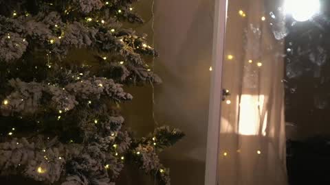    online show from 12/26/24, 09:04