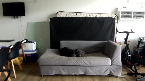 popopo0 online show from 01/28/25, 05:24