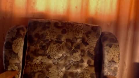 porn88s online show from 04/29/26, 11:58