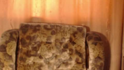 porn88s online show from 05/15/26, 01:29