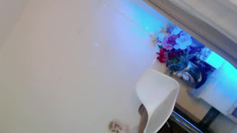 Snapshot of prettybadbitch28 chatting on 06/09/26, 01:23 prettybadbitch28 online show from 06/09/26, 01:23