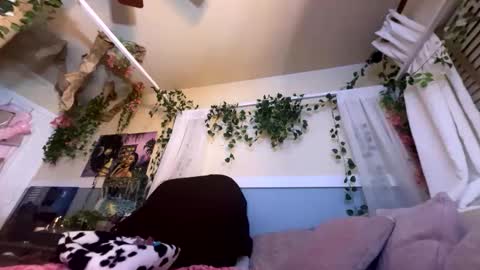 prettyblackgal online show from 11/27/25, 07:43