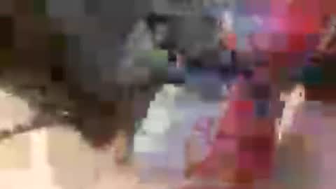 prettycock1981 online show from 07/05/26, 09:49