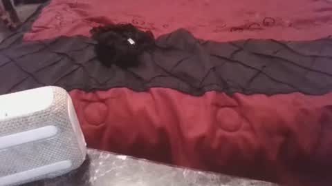 Snapshot of prettyp7729206 chatting on 11/03/25, 09:27 prettyp7729206 online show from 11/03/25, 09:27