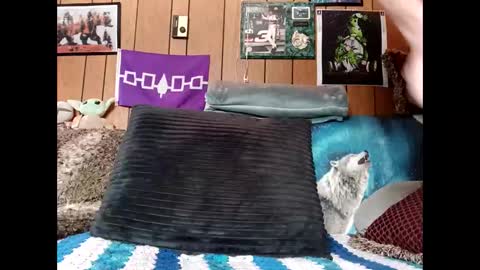 Snapshot of prettysolid7 chatting on 03/22/26, 02:20 prettysolid7 online show from 03/22/26, 02:20