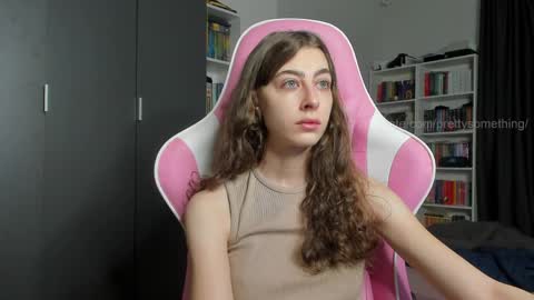 Snapshot of prettysomething chatting on 04/07/26, 05:52 Sophie next stream will be at Monday i will wait you guys online show from 04/07/26, 05:52