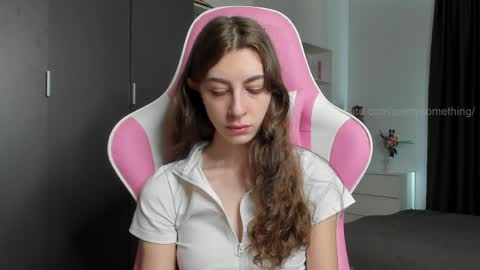 Snapshot of prettysomething chatting on 04/17/26, 07:00 Sophie next stream will be at Monday i will wait you guys online show from 04/17/26, 07:00