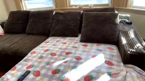 Snapshot of princ3ssarii chatting on 12/05/25, 07:43 Princess Arii online show from 12/05/25, 07:43