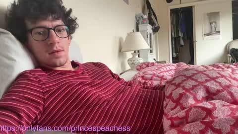 Snapshot of princespeaches chatting on 11/13/25, 05:01 Peaches online show from 11/13/25, 05:01